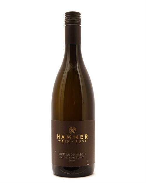 Hammer Wein Sauvignon Blanc Ried Ludmaisch 2019 BIO