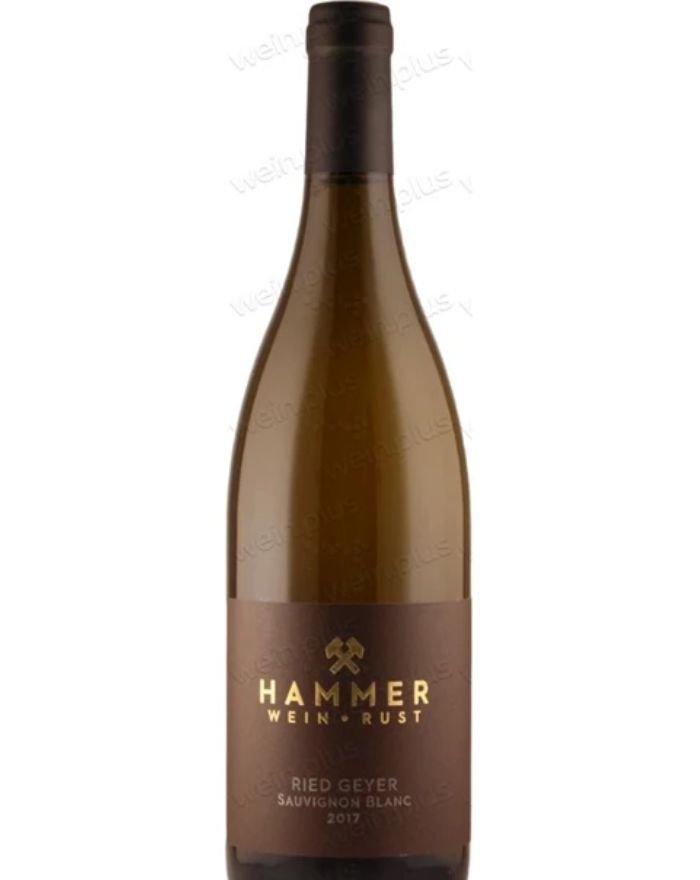 Hammer Wein Sauvignon Blanc Ried Geyer 2017 BIO